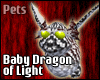 Baby Dragon of Light