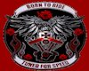 BR EMPIRE LOGO RUG 1