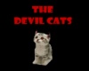 Devil Cats t-shirt