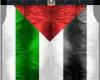 Palestine pants