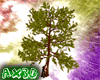 [AX3D] Tree Kissing
