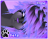 [Pets] Kia | hair v2
