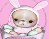 Bunny Pet Easter â¡