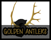{EL} Gold Antlers