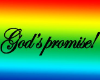 GODS PROMISE BRAIDLOX