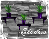 {SP}Plant Wall Shelf