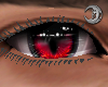 Feline Crimson Eyes M