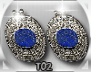 T~ Blue stone Earrings