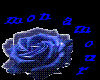 Blue Rose "Mon Amour"