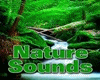 Nature Sound Effect