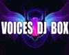 VOICES DJ BOX