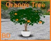 [BD] Orange Tree