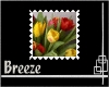 NL-Stamp (6)