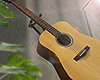 金 Guitar Acoustic