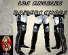 L.A. Raiders Chaps