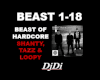 Beast of Hardcore-Shanty