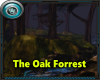 MRW|The Oak Forest