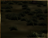 (A1) Grass