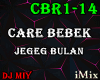 ♪ Care Bebek Remix