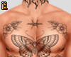 r. Chest + Tattoo Old 3