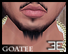 ₪ Hector Goatee