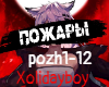Xolidayboy pozhary