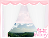 [Pup] White Curtains