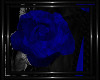 !T! Gothic | Roses B