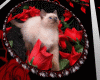 Damned Roses rug