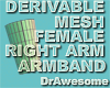 Female Rght Armband Mesh