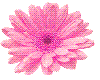 Sticker - flower - pink