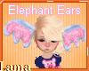 🐘 Elephant Ears 🐘