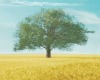 dream tree animated