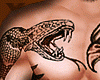 Snake vs Eagle Tattoo!