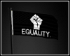 *N* Equality Flag