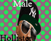 Hollister|Male