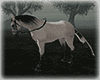 Animated GreyWhite Horse