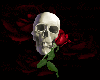 Skull and Rose Cushion