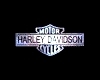 Harley Davidson 360 Spin