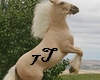 7T* Cool Horse pic