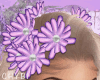 C~Purple Nova Crown