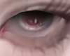 NNN.IRIS
