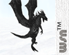 [wsn]Onyx Dragon