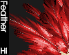 [Hi] Red Feather