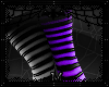 M|KneeHigh.B/P