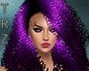 TRZ- Purple Curly HOT !!