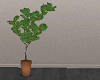 [SM] Green Plant