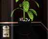 !E! HIS POTTED PLANT