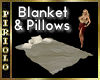 Blanket & Pillows