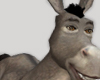 Donkey Avatar